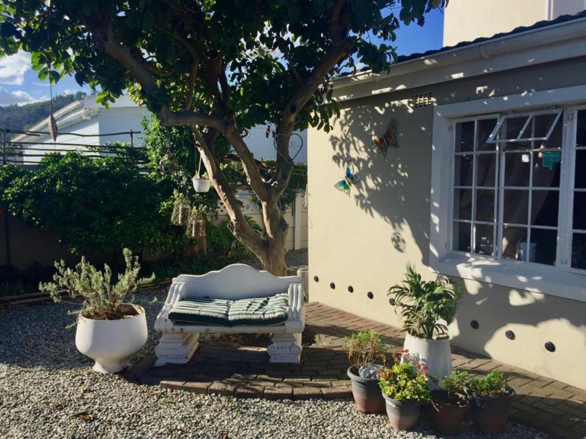 Jembjo'S Knysna Lodge & Backpackers المظهر الخارجي الصورة