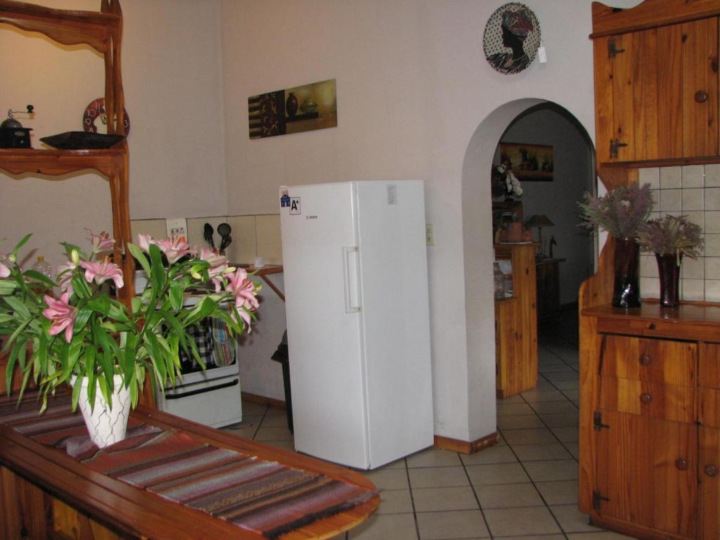 Jembjo'S Knysna Lodge & Backpackers المظهر الخارجي الصورة